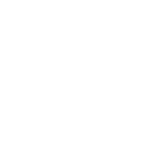 Burgerscript